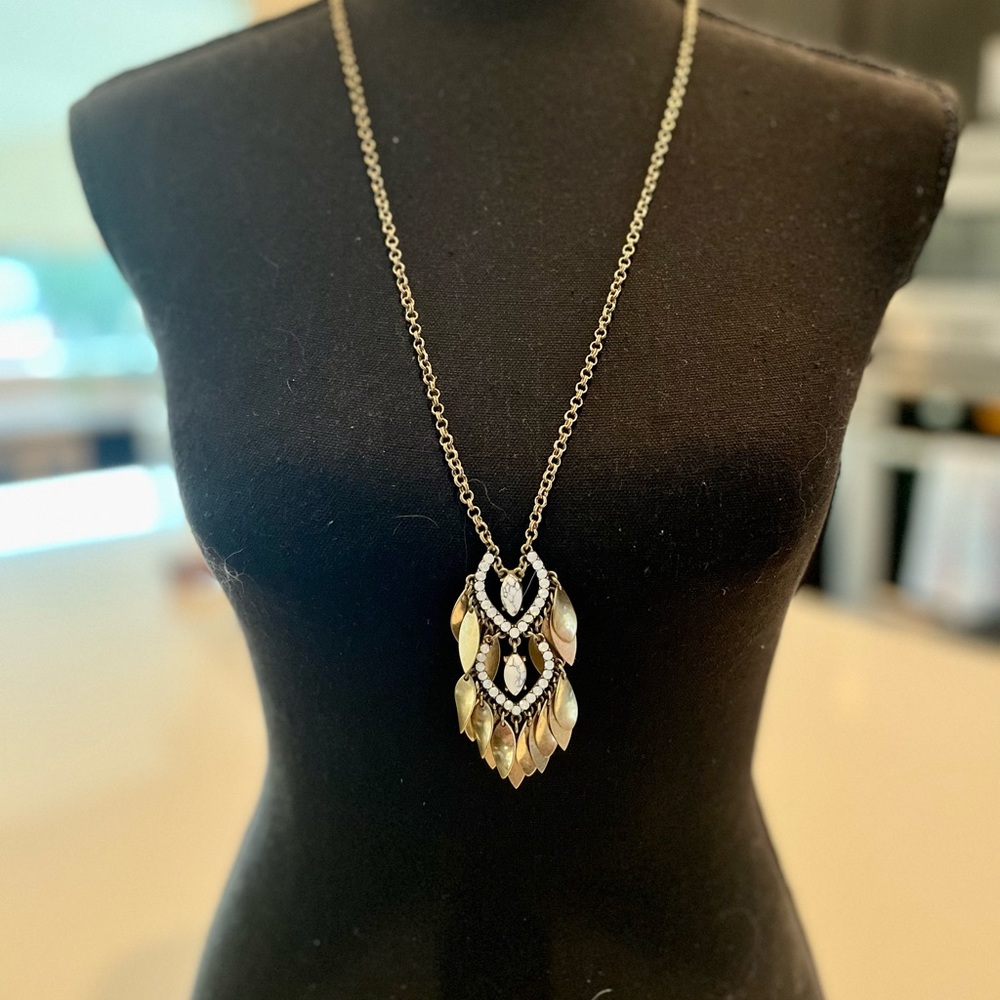 Francesca’s Long Gold Necklace